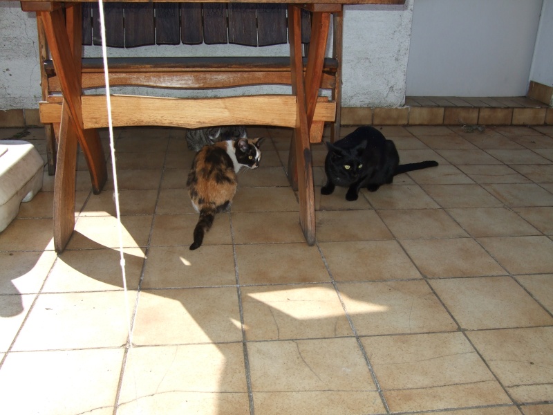 Ostern 2007 Orleshausen 056 